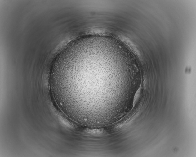 X0000096140449200802011214