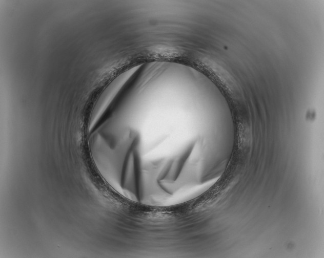 X0000096140451200802011214