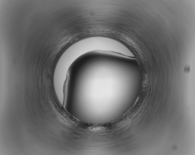 X0000096140452200802011214