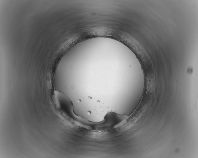 X0000096140453200802011214