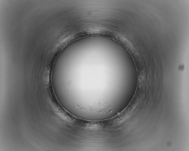 X0000096140454200802011214