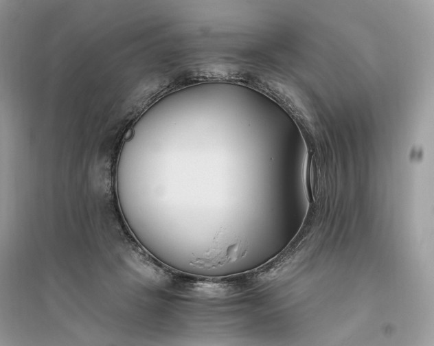 X0000096140457200802011214