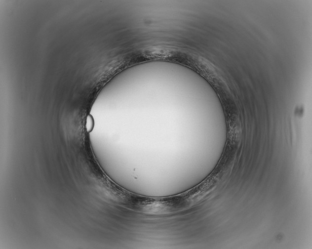 X0000096140460200802011214