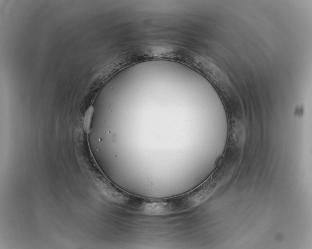 X0000096140461200802011214