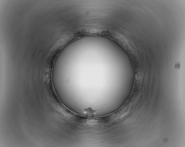 X0000096140462200802011214