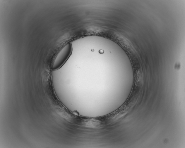 X0000096140463200802011214
