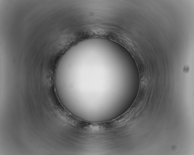 X0000096140464200802011214