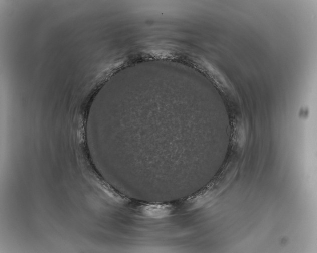 X0000096140465200802011214