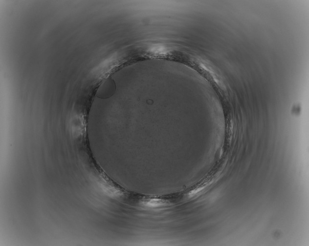 X0000096140467200802011214
