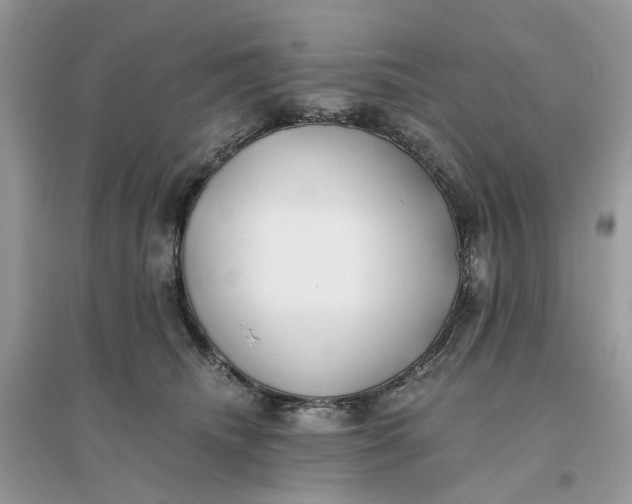 X0000096140468200802011214