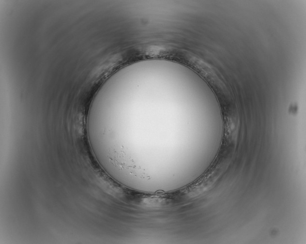 X0000096140470200802011214