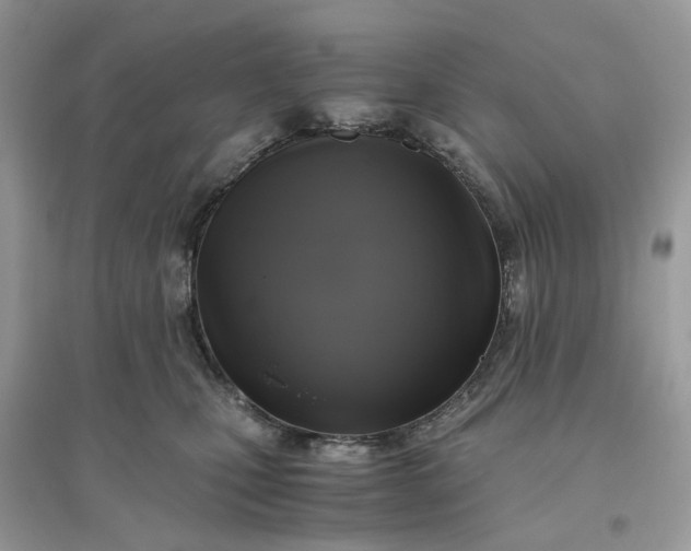 X0000096140471200802011214