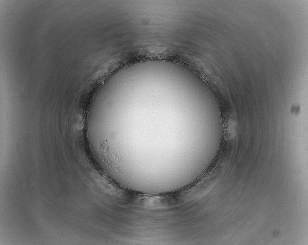 X0000096140472200802011214