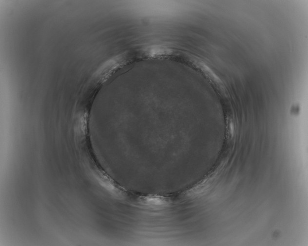 X0000096140475200802011214