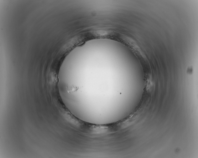 X0000096140476200802011214