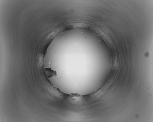 X0000096140478200802011214