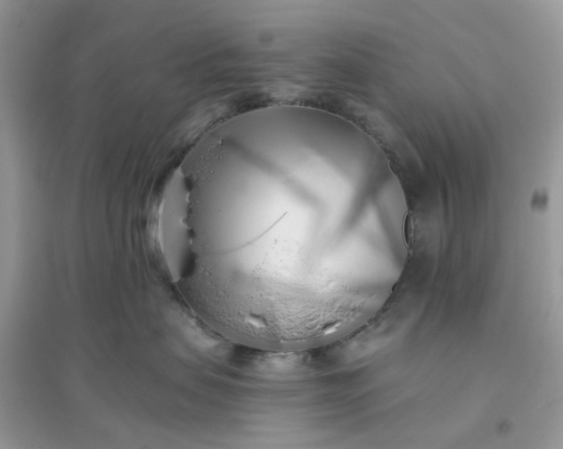 X0000096140479200802011214