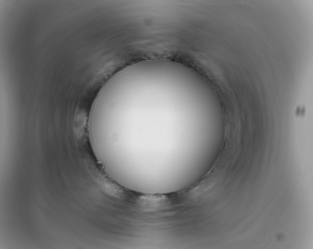 X0000096140480200802011214