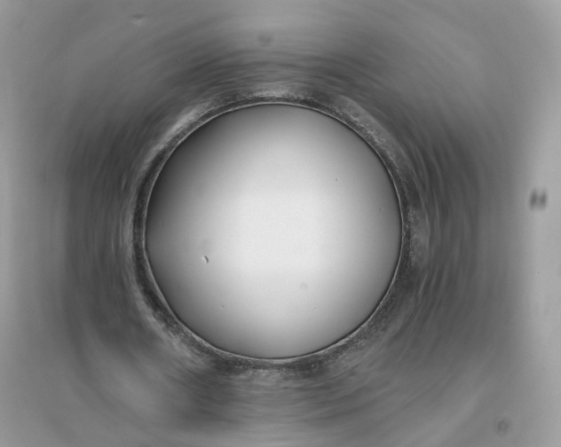 X0000096140482200802011214