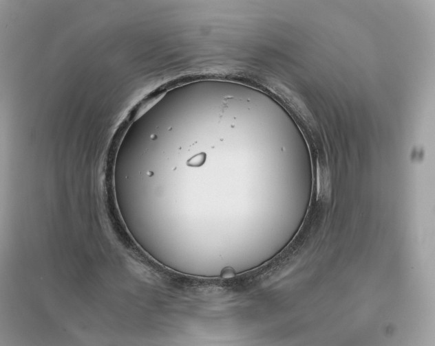 X0000096140483200802011214