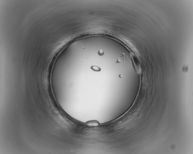 X0000096140485200802011214