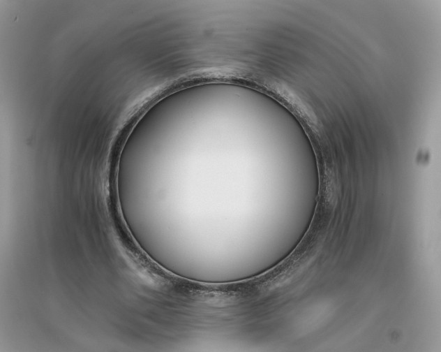 X0000096140486200802011214