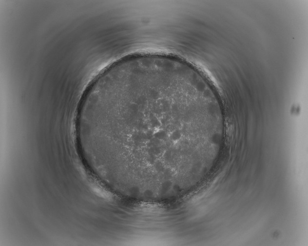 X0000096140487200802011214