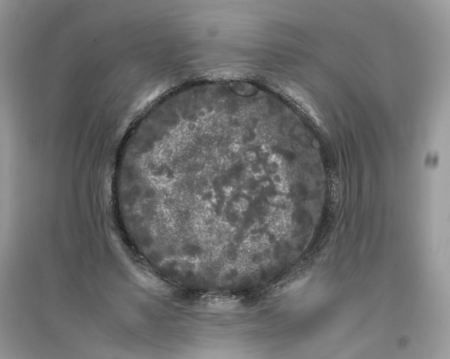 X0000096140491200802011214
