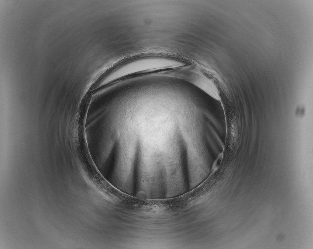 X0000096140492200802011214
