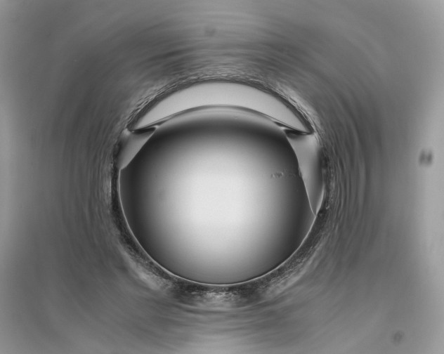 X0000096140493200802011214