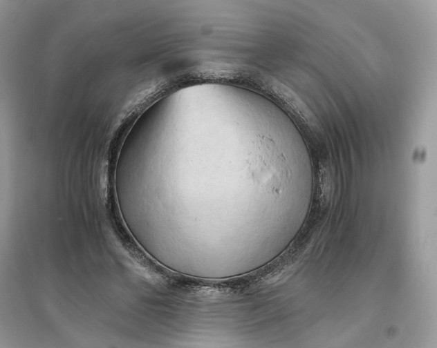 X0000096140494200802011213