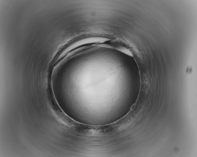 X0000096140496200802011213