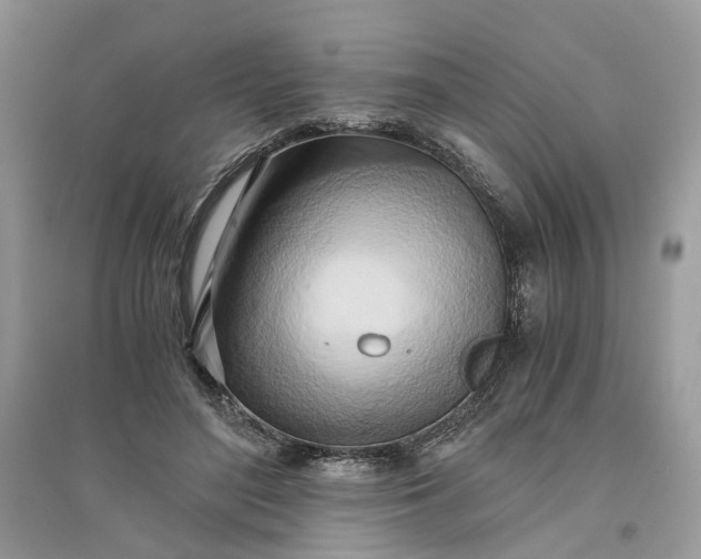 X0000096140500200802011213
