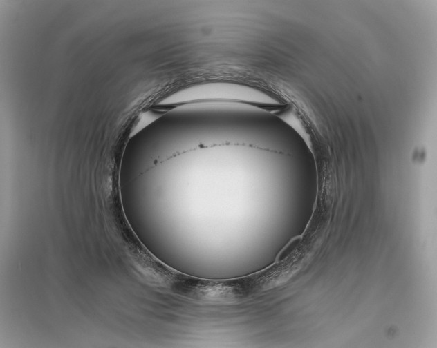 X0000096140501200802011213