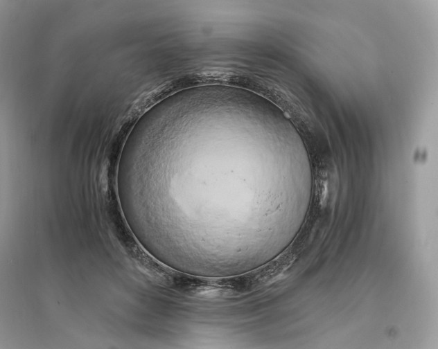X0000096140504200802011213