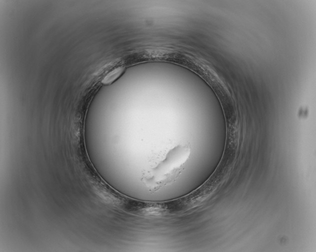 X0000096140505200802011213