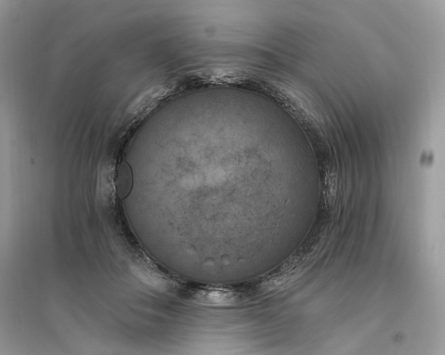 X0000096140506200802011213