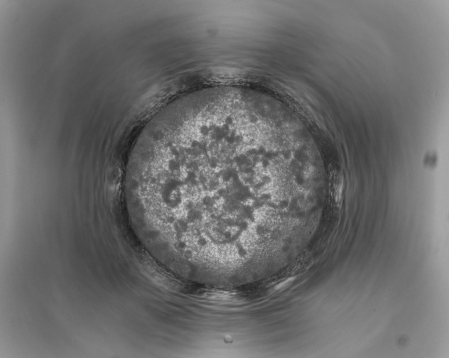 X0000096140507200802011213