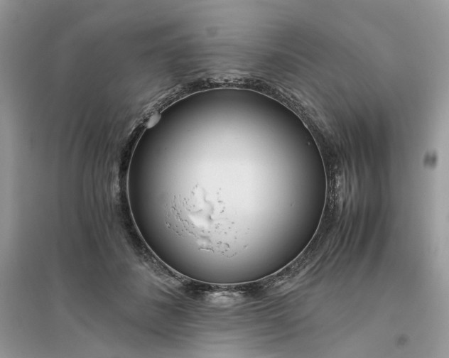 X0000096140508200802011213