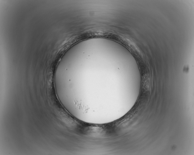 X0000096140509200802011213