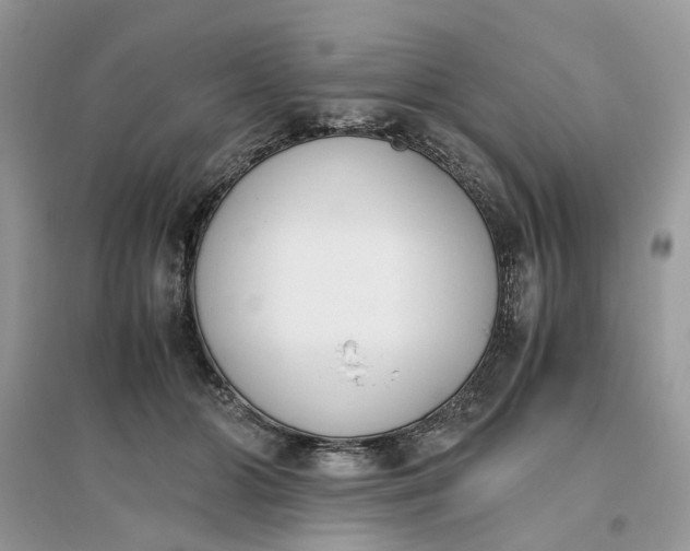 X0000096140510200802011213