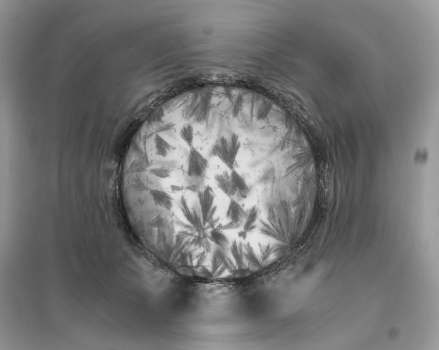 X0000096140511200802011213