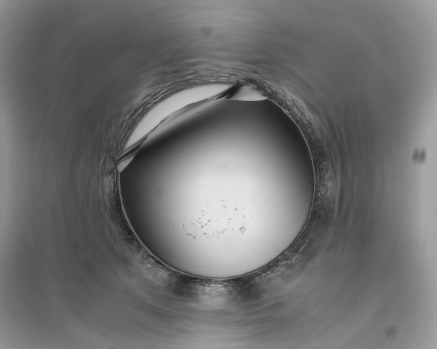 X0000096140513200802011213