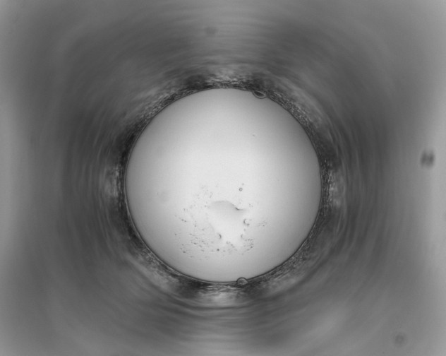 X0000096140514200802011213