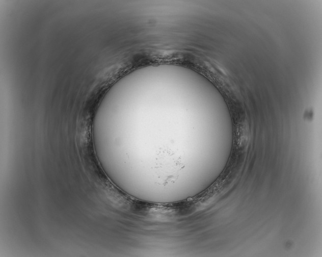 X0000096140515200802011213