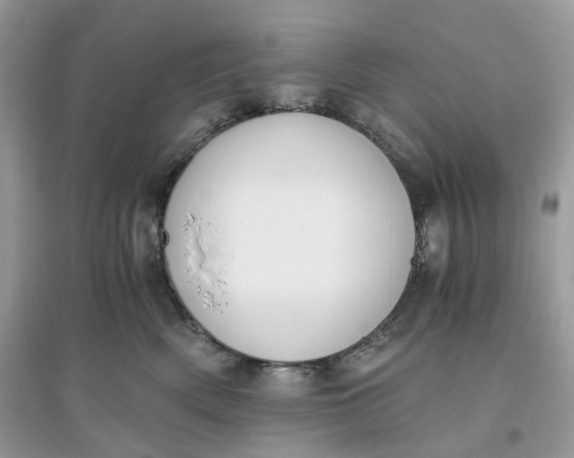 X0000096140522200802011213
