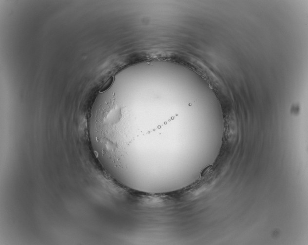 X0000096140523200802011213