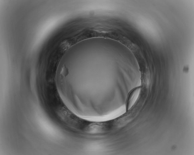 X0000096140526200802011213