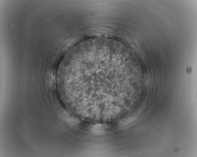 X0000096140527200802011213