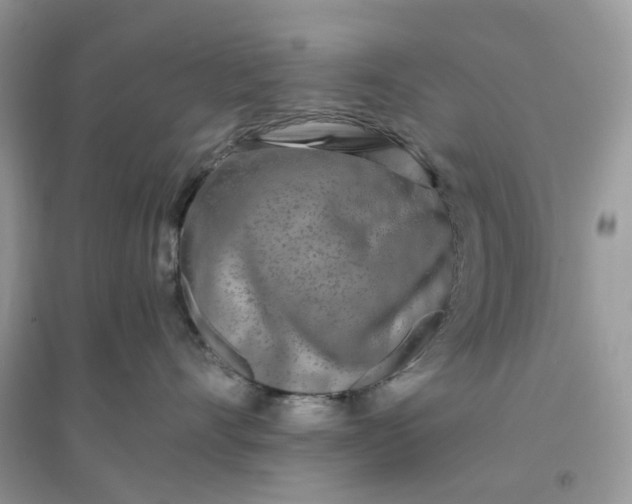 X0000096140528200802011213
